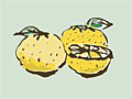 【くらしの便利ノート】柚子を使ったカンタンレシピ｜福山の生活情報サイト【リビングふくやま.com】